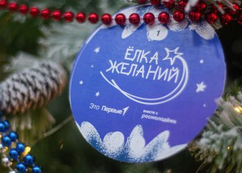 ‎В ДНР стартовал проект «Елка желаний»