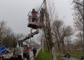 Возобновлены работы по спилу аварийных деревьев