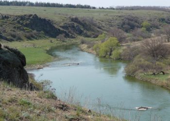 В ДНР проводится работа для сохранения экологического благополучия