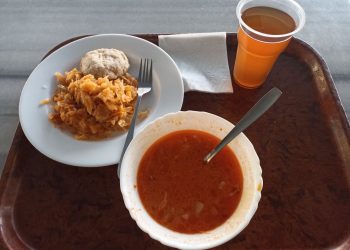 Елена Никитина проинспектировала школы, где отсутствует горячее питание