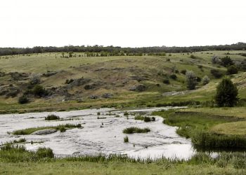 Стартовала всероссийская акция по уборке берегов «Вода России»