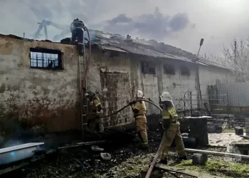В Шахтерске ликвидировано крупное возгорание
