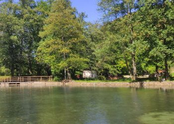 Дети из Иловайска и Амвросиевки отправились на отдых