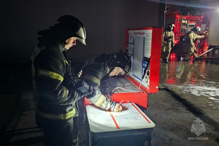 За неделю в ДНР ликвидировано порядка 150 пожаров