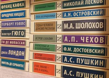 В библиотечные фонды ДНР поступило свыше ста тысяч новых книг